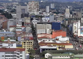 20240205 084456844 fecm06022024efe15452649.jpg 525981578