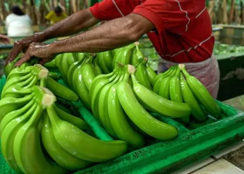 b4lo6um7yzg2fcg2cijqfp6ng4