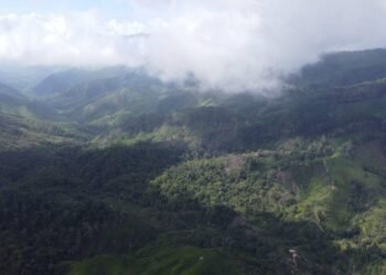 image whatsapp image 2024 02 07 at 10 07 6682703 20240208142357