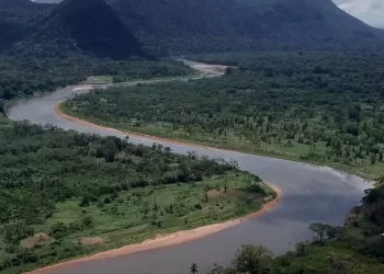 nortenas fundacion rewild 2