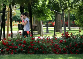 obb3p4hggrctfcma3sx5xrjnza