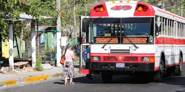 photo 4972517130637519858 y 1140x570 1