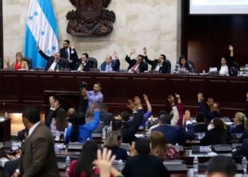 principal amnistias congreso nacional