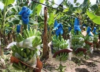 336352920 151612144503025 6392217334808976978 n 1140x760