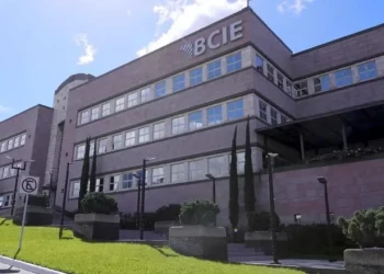 bcie crop1709952132335.jpg 525981578