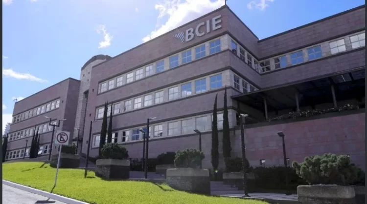 bcie crop1709952132335.jpg 525981578