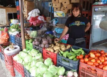 canasta alimenticia honduras 6771718 20240218222236