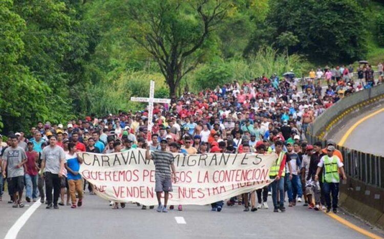 migrantes 3