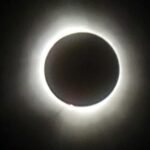 whatsapp image 2024 04 08 at 4.04.49 pm (8)