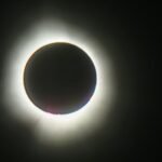 whatsapp image 2024 04 08 at 4.04.50 pm (5)