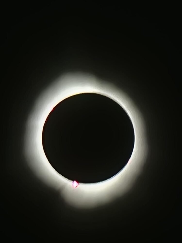 whatsapp image 2024 04 08 at 4.04.50 pm (7)