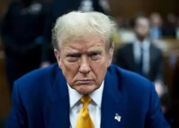 trump focus min0.08 min0.01 896 504.jpg