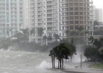 whatsapp image 2024 05 13 at 9.05.34 pm