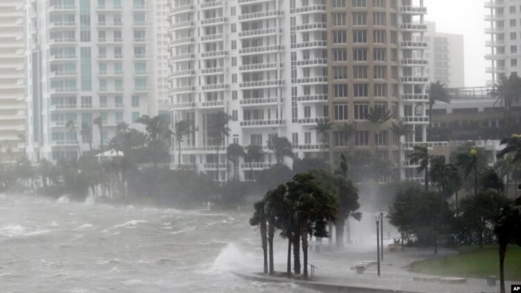 whatsapp image 2024 05 13 at 9.05.34 pm