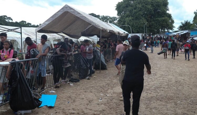 denuncian en panama unos 400 casos de abuso sexual contra migrantes en el darien 05 06 2024