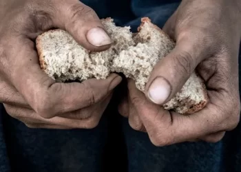 untitled design 2024 06 07t105956.557 1