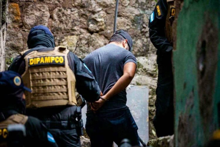 3136449 3139483 20221205202904 7934679 20240705093538