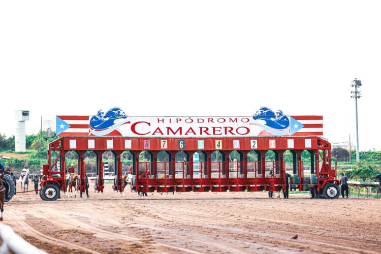 364715150 669233761915273 2327479762466203538 n