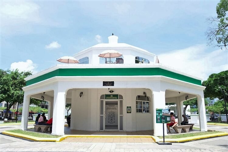 biblioteca municipal sps 1