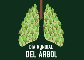 dia mundial arbol scaled