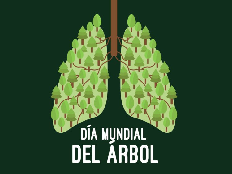 dia mundial arbol scaled