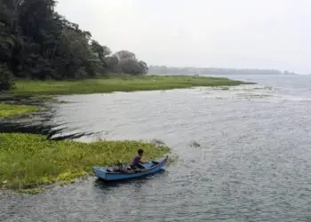 lago de yojoa e1722274200656