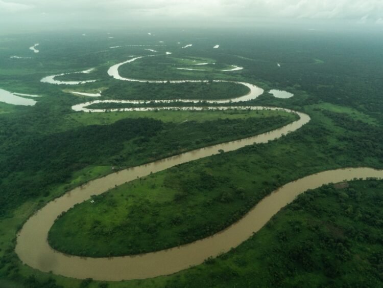 reserva del rio platano