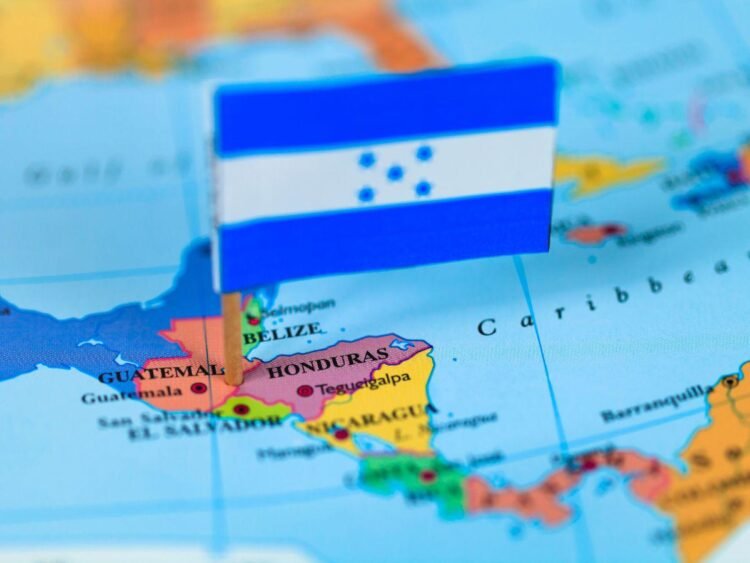 1 8387114 20240827191936