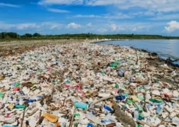 red gradient full photo crime news twitter post 20240820 102547 0000