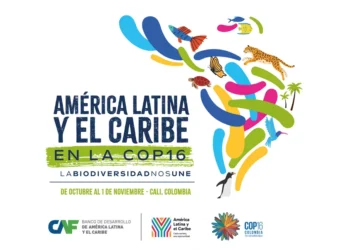 81f0155100be6b5bd51e7aea5dc2517eaf05df72