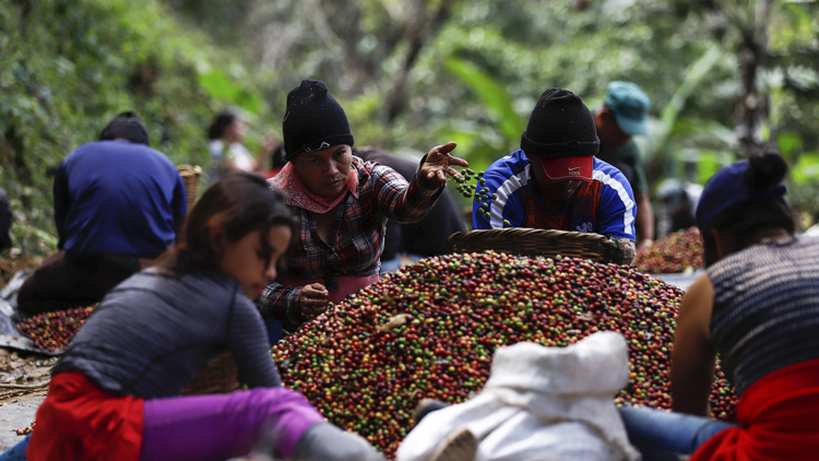 c2028c1e 86eb 4550 866f d47b4779fa78