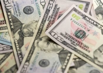 dolares eeuu usa