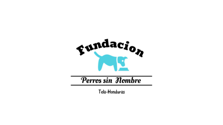 fundacion perros sin nombres