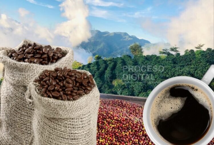 whatsapp image 2023 09 27 at 5.54.02 pm 1 768x520