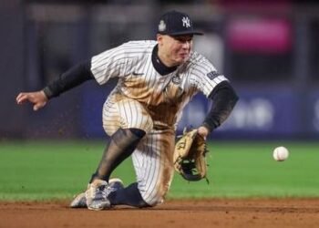 whatsapp image 2024 10 30 at 2.30.18 pm