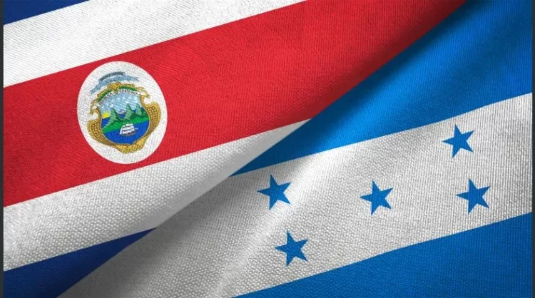 65254a2d59bf5b30466994b7.jpg 525981578