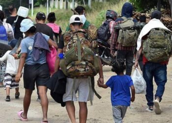 migracion 8917363 20241030172656