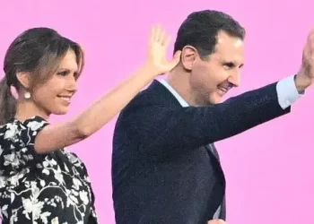 bc79f5d0 b5a7 11ef bfe8 89642617b269.jpg