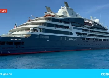 copia de practica canal 8 proyecto web 2024 12 04t100345.582 1 1700x956