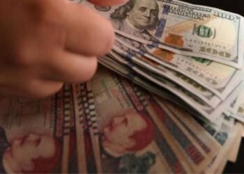 principal economista alerta lempira dolar