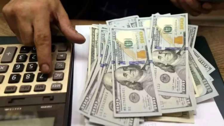 remesas pobres palmerola 1