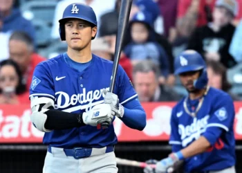 01jq83er5e2ger0xm2yy