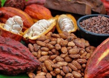 Cacao y chocolate destacarán en Agromercados Honduras 2025