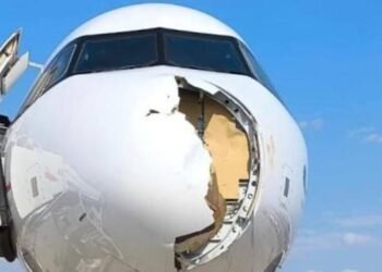 Avión de Iberia aterriza de emergencia en Madrid tras impactar con ave de gran tamaño