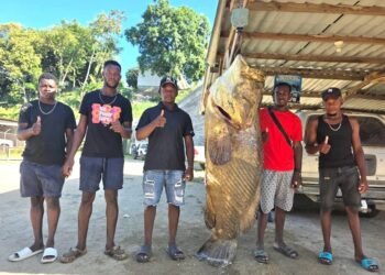 🎣🐟 Pescadores garífunas capturan un mero gigante de 400 libras en el Caribe hondureño