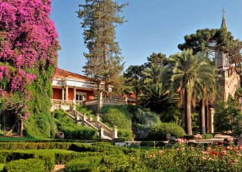 Forbes elige a viña chilena como la mejor del mundo y ubica a otras cuatro del país en el top 50