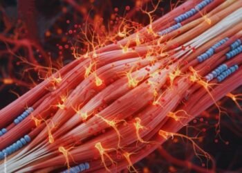 Por qué la mente cansada mantiene a tus músculos rígidos incluso en reposo