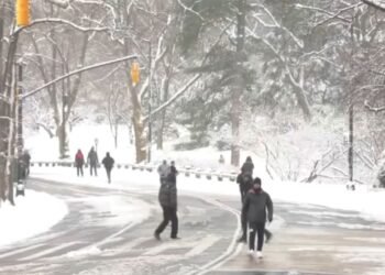 ‘Es mágico ver la ciudad vestida de blanco’: tormenta de nieve en Nueva York