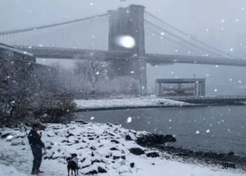 Emiten vigilancia por tormenta invernal para Nueva York y el área triestatal