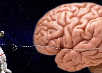 La vida en microgravedad provoca desplazamientos físicos y cambios estructurales significativos en el cerebro de los astronautas